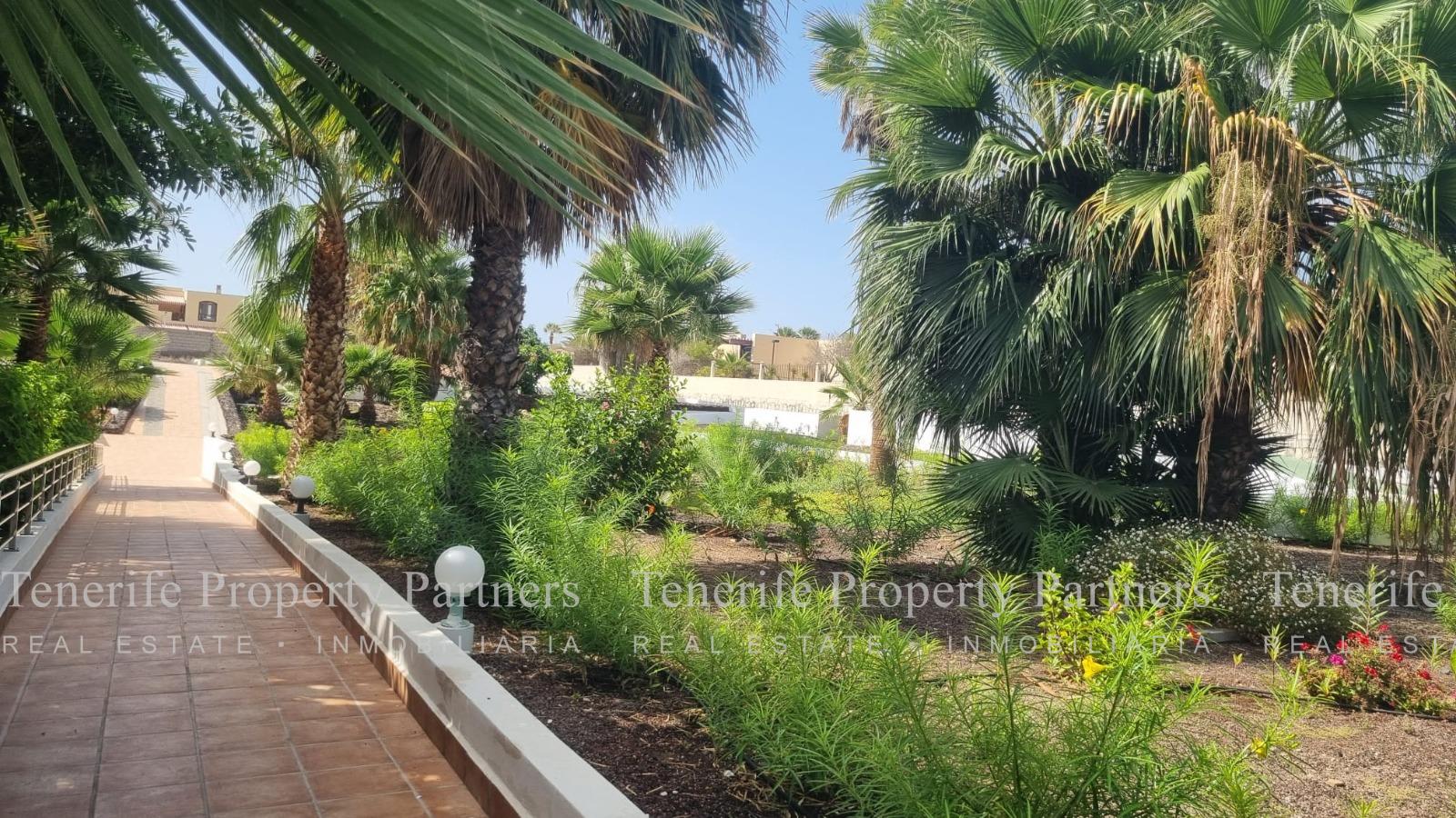 Tenerife - Costa del Silencio - Don José - Studio